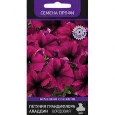 Петуния грандифлора Аладдин Бордовая Петуния грандифлора Аладдин Бордовая