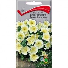 Петуния грандифлора Дольче Лимонселло Петуния грандифлора Дольче Лимонселло