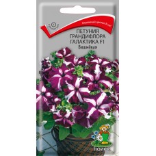 Петуния грандифлора Галактика F1 Вишнёвая Петуния грандифлора Галактика F1 Вишнёвая