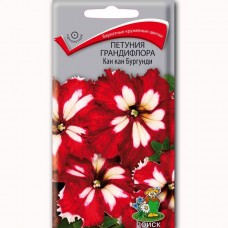 Петуния грандифлора Кан кан Бургунди Петуния грандифлора Кан кан Бургунди