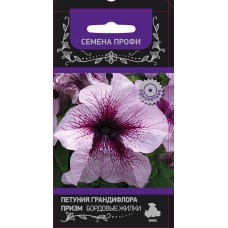 Петуния грандифлора Призм Бордовые жилки Петуния грандифлора Призм Бордовые жилки