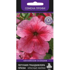 Петуния грандифлора Призм Красные жилки Петуния грандифлора Призм Красные жилки