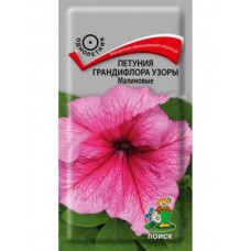 Петуния грандифлора Узоры Малиновые Петуния грандифлора Узоры Малиновые
