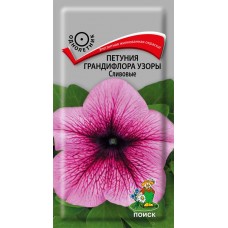 Петуния грандифлора Узоры Сливовые Петуния грандифлора Узоры Сливовые