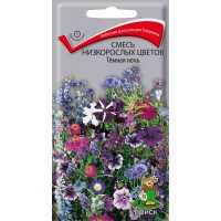 Смесь низкорослых цветов Темная Ночь