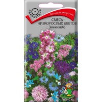 Смесь низкорослых цветов Зимнее Небо