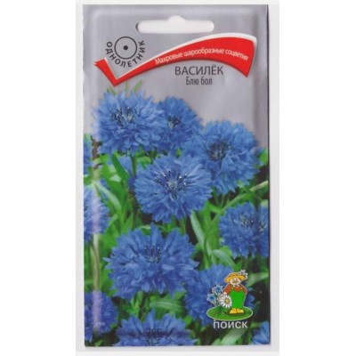 Василек Блю Бол Василек Блю Бол