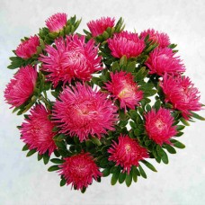 Астра ювел Турмалин