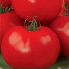 Томат Финиш