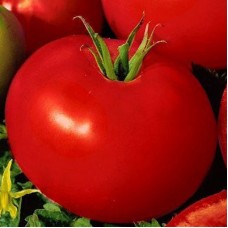 Томат Мадонна F1