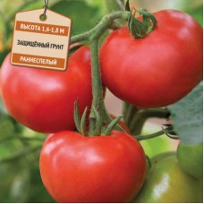 Томат Огонь F1