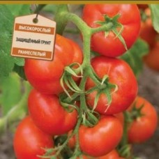 Томат Океан F1