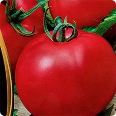 Томат Премиум F1