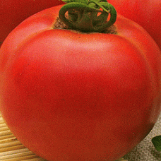 Томат Розанна F1